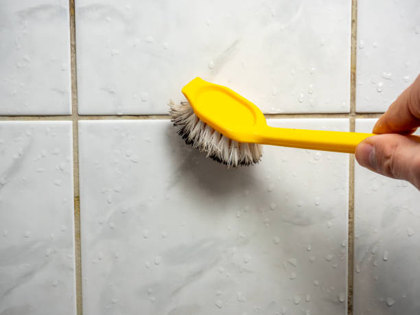 Best Water Damage Restoration  in Harrisonville, MO