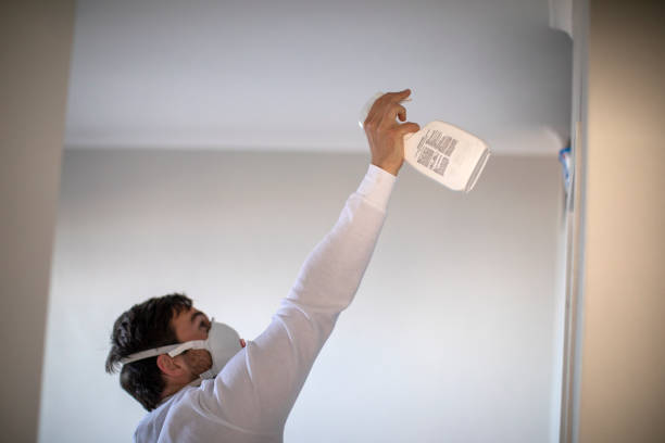 Best Mold Removal Company Near Me  in Harrisonville, MO